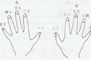 电子琴入门教程-姿势指法与手型演示图解